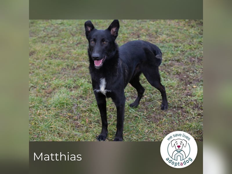 Matthias sucht ein Zuhause