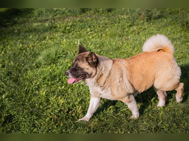 Hexe: Kämpferin mit großem Herzen