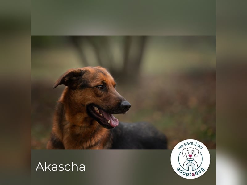 Akascha: Möchte endlich nach Hause!