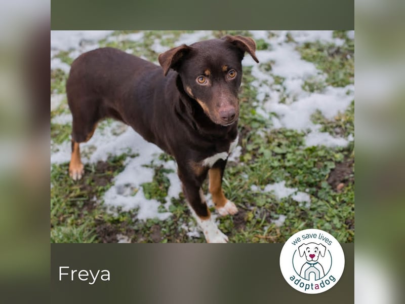 Freya: Junge Mama sucht ihr Glück