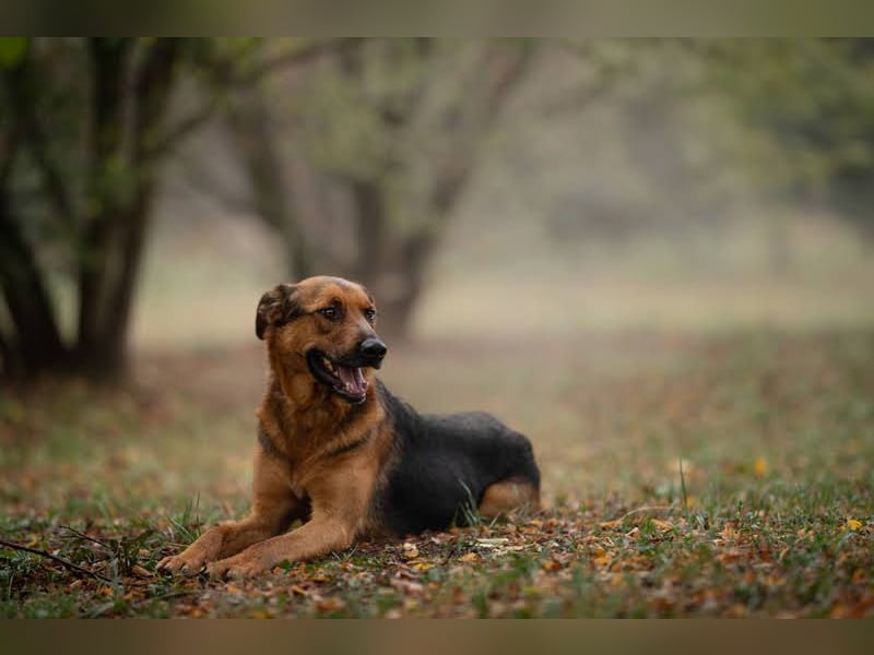 Akascha: Möchte endlich nach Hause!