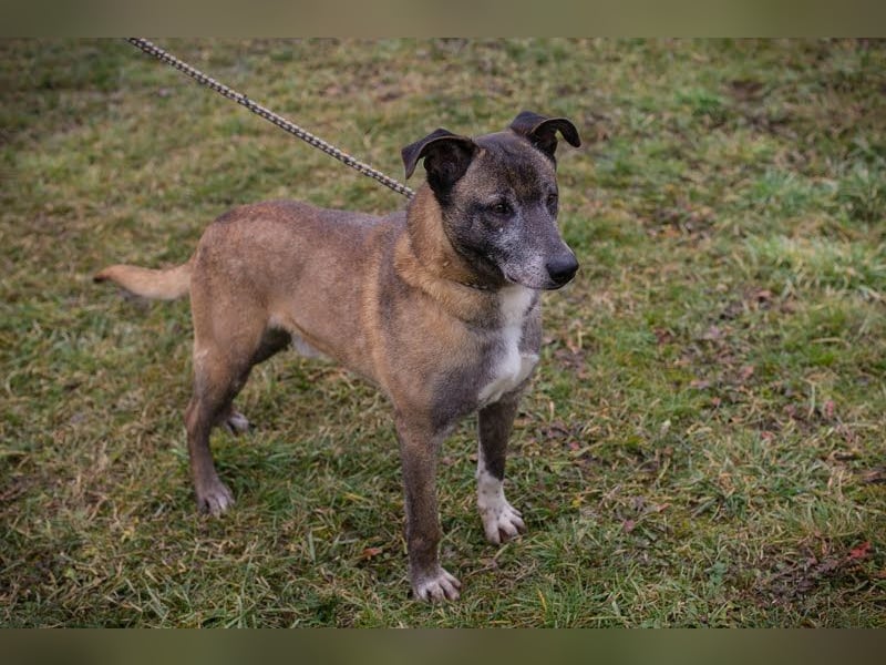 Grisu: Warum sieht ihn niemand?