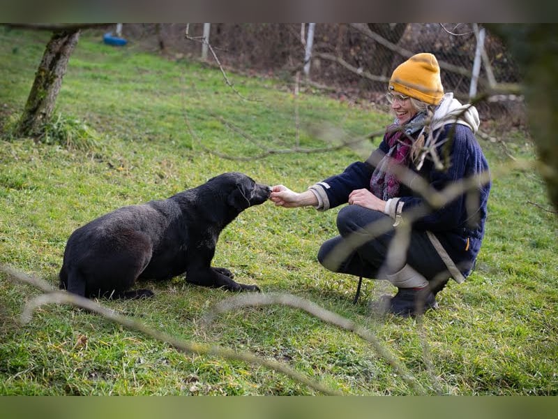 Cassius – Gern im Team unterwegs