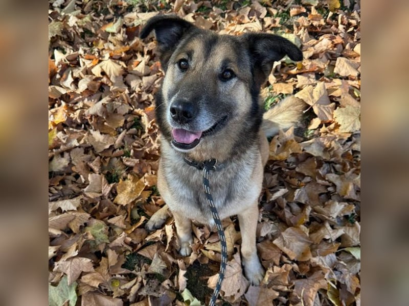 Alex – möchte voll durchstarten