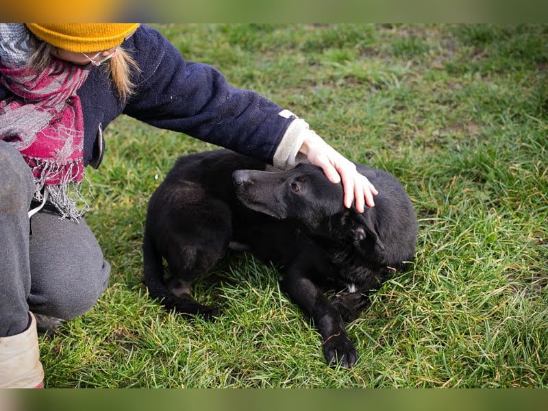 Cassius – Gern im Team unterwegs