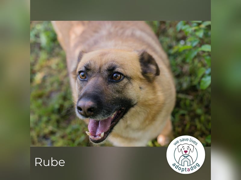 Rube: Liebevolle Begleiterin