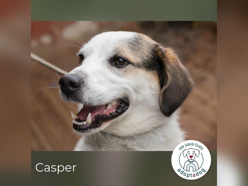 Casper versteht die Welt nicht mehr