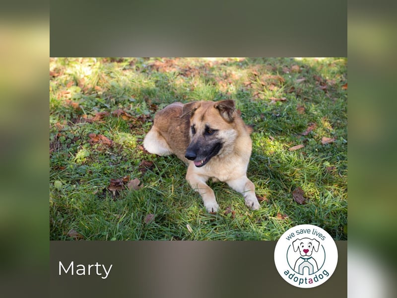 Marty sucht seine Menschen