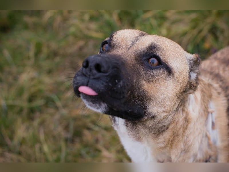 Berta: Bald ganz nah an deinem Herzen?