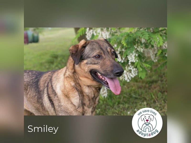 Smiley: Voller Liebe und Hoffnung