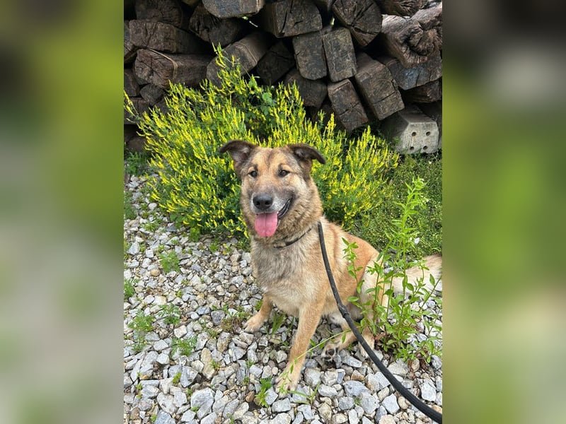 Alex – möchte voll durchstarten