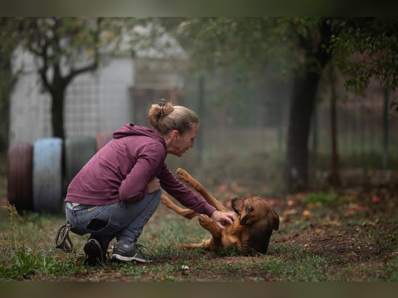 Akascha: Möchte endlich nach Hause!