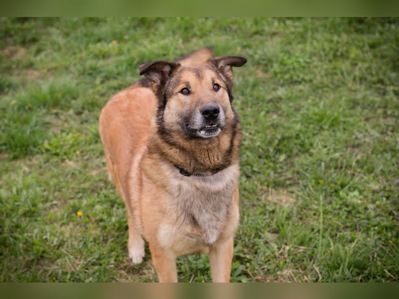 Alex – möchte voll durchstarten