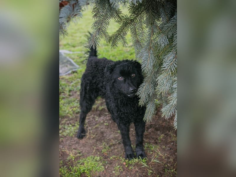 Cody: Neugieriger Wirbelwind