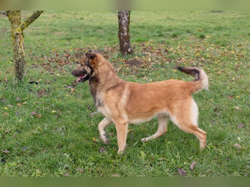 Alex – möchte voll durchstarten