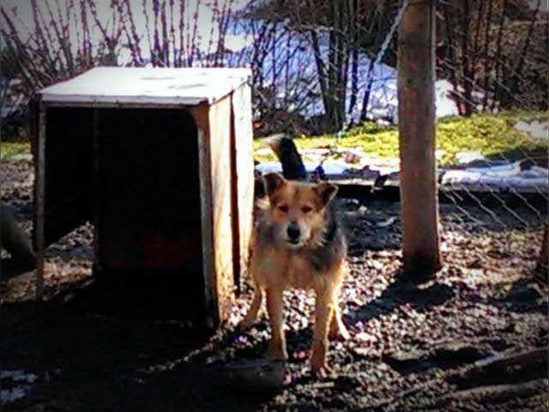 Bently: sucht Sicherheit