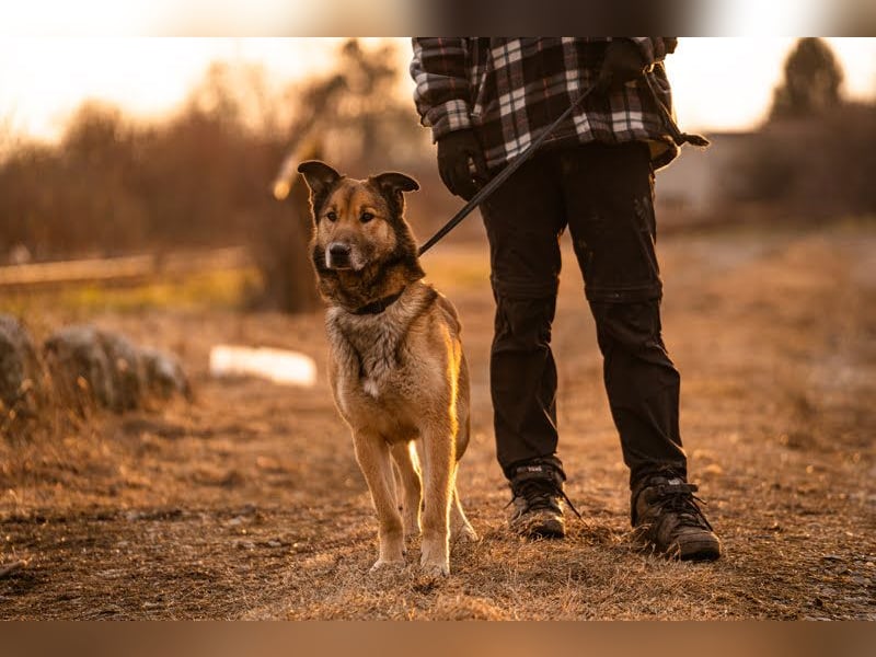 Alex – möchte voll durchstarten