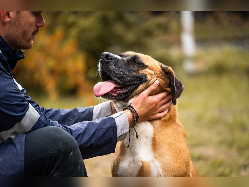 Bonita: Deine neue Wegbegleiterin?