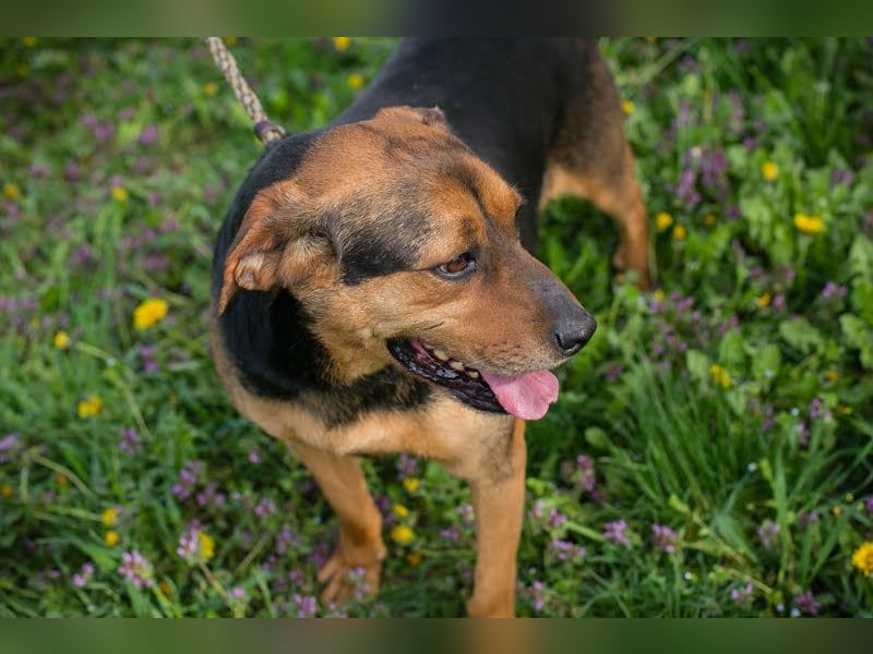 Rico: Findet der kleine Sausewind bei dir seinen Platz?