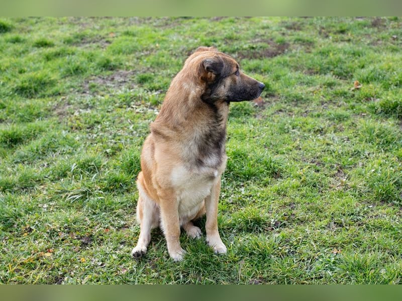 Alex – möchte voll durchstarten