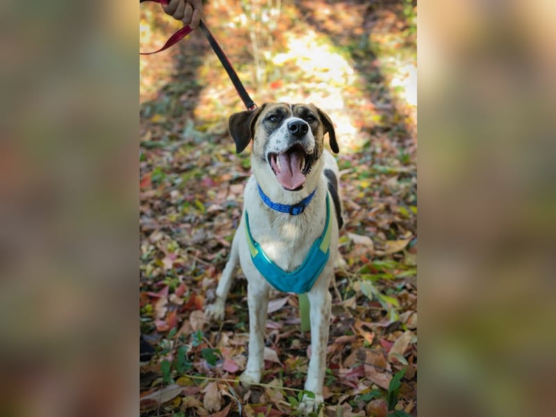 Nada: ein Name, der Hoffnung trägt