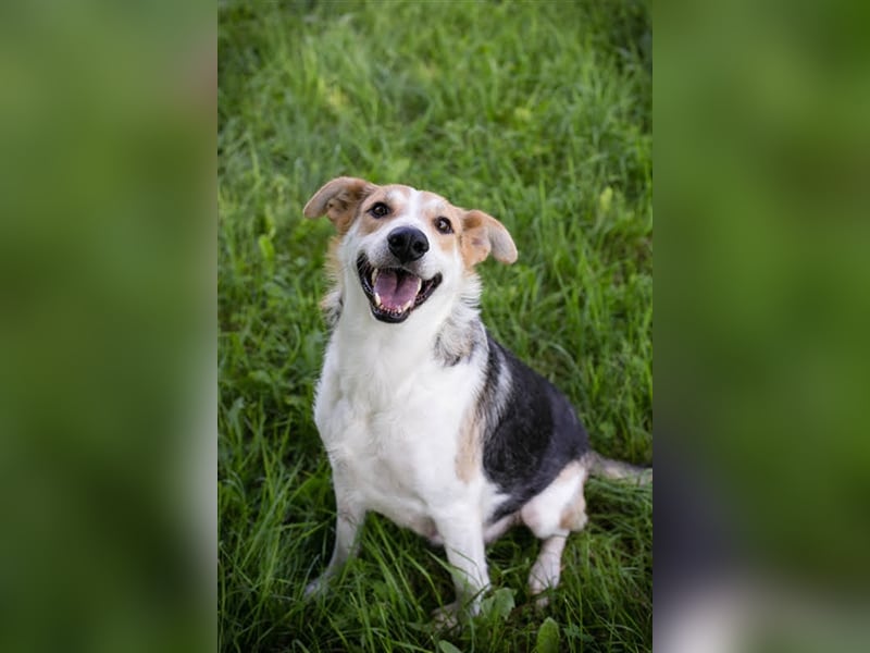 Julie – ein Goldschatz