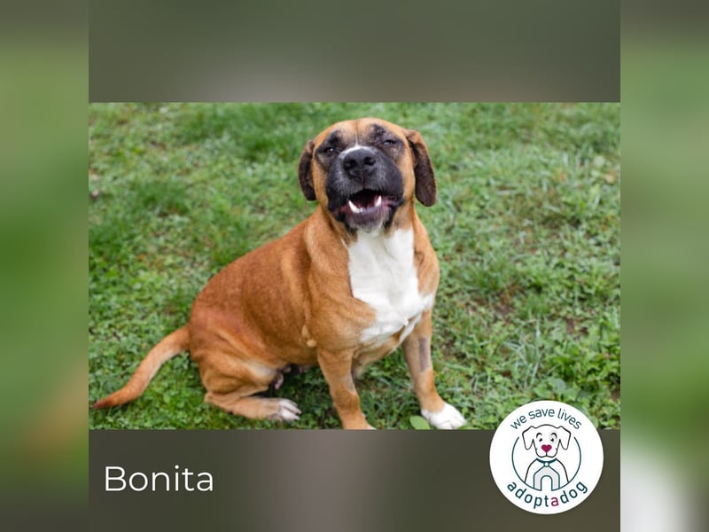 Bonita: Deine neue Wegbegleiterin?