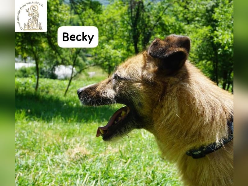 Becky – Eine Lady zum Verlieben, so schön wie das Leben selbst!