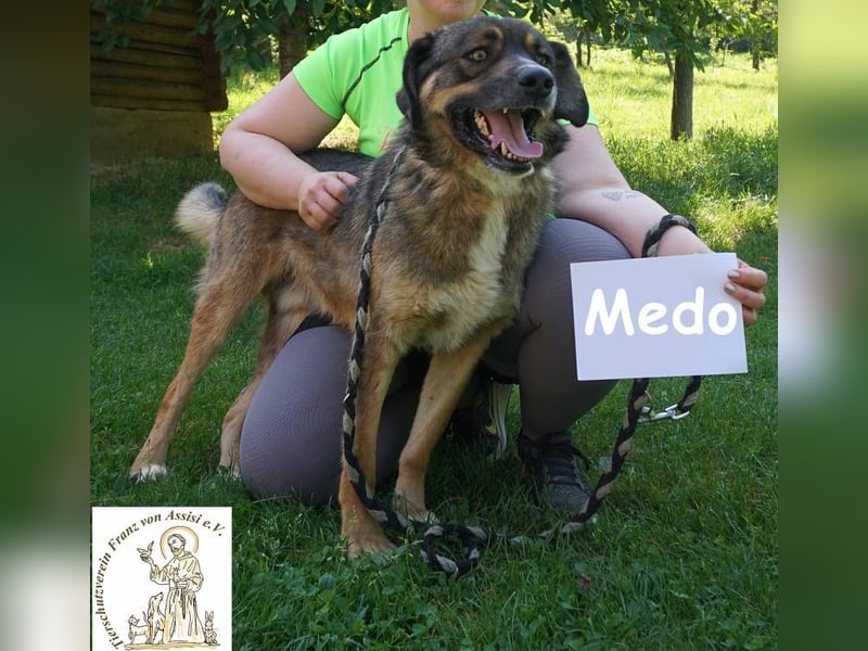 Medo – Spiel, Spaß, Spannung – und Lernen darf auch dabei sein!