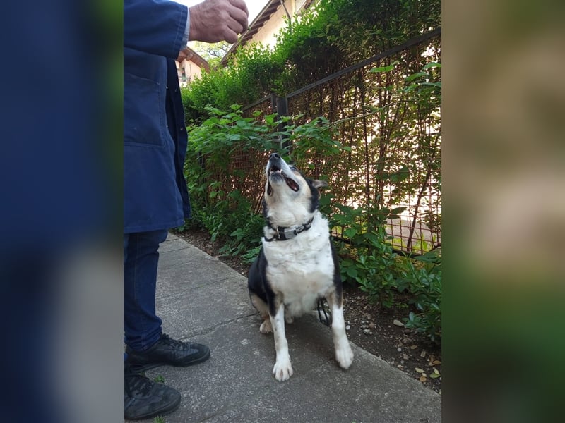 Waisenkinder Bobi und Mrki