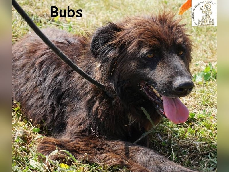 Bubs – Zu zweit ist man nicht mehr allein