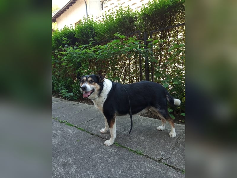 Waisenkinder Bobi und Mrki