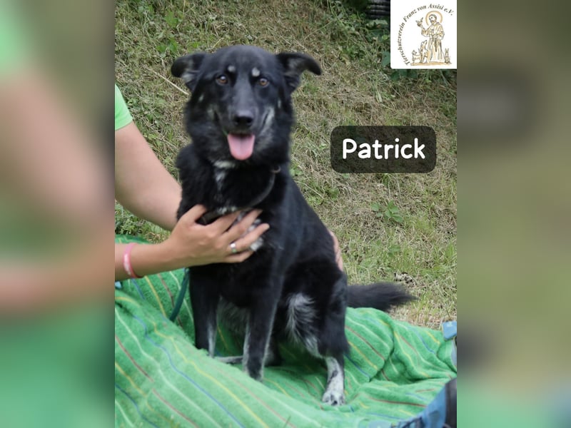 Patrick – Mut, ein bisschen Neugier und schon kann das Abenteuer beginnen!