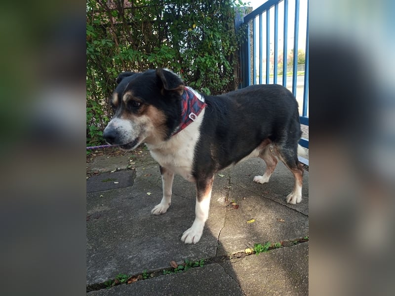 Waisenkinder Bobi und Mrki