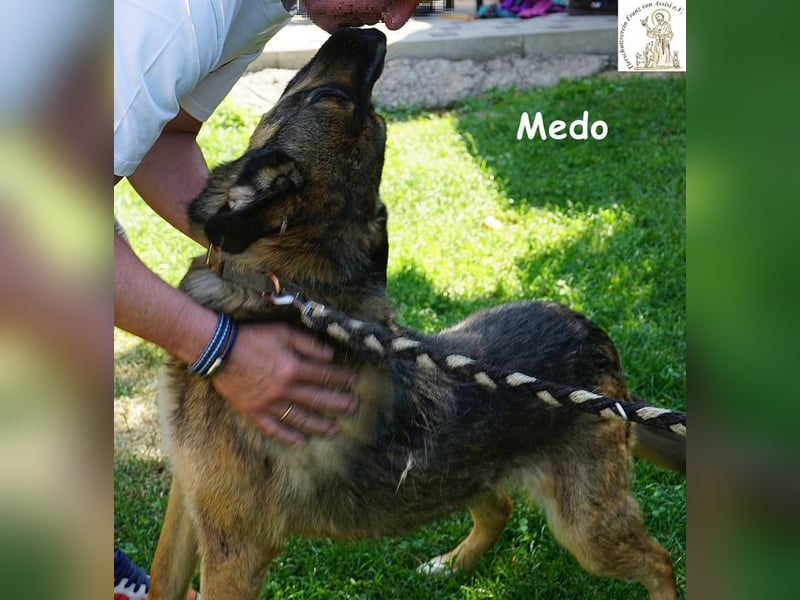 Medo – Spiel, Spaß, Spannung – und Lernen darf auch dabei sein!