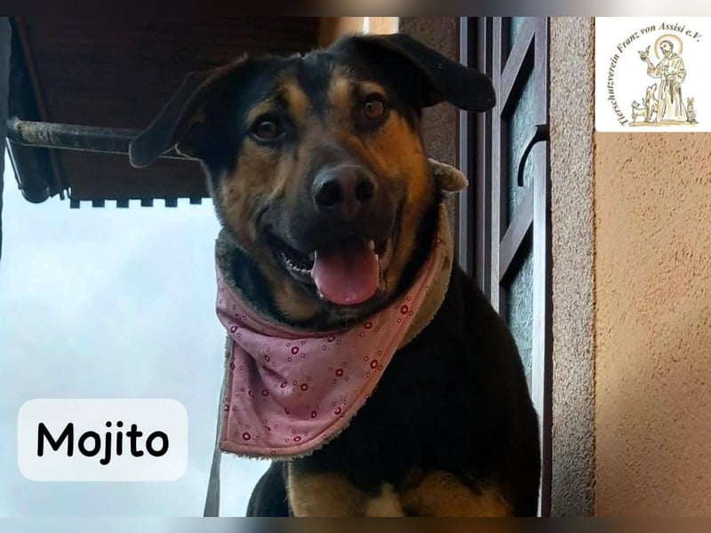 Mojito – neugierig auf alles, was da kommt!