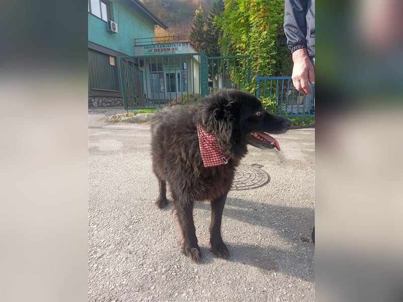 Waisenkinder Bobi und Mrki