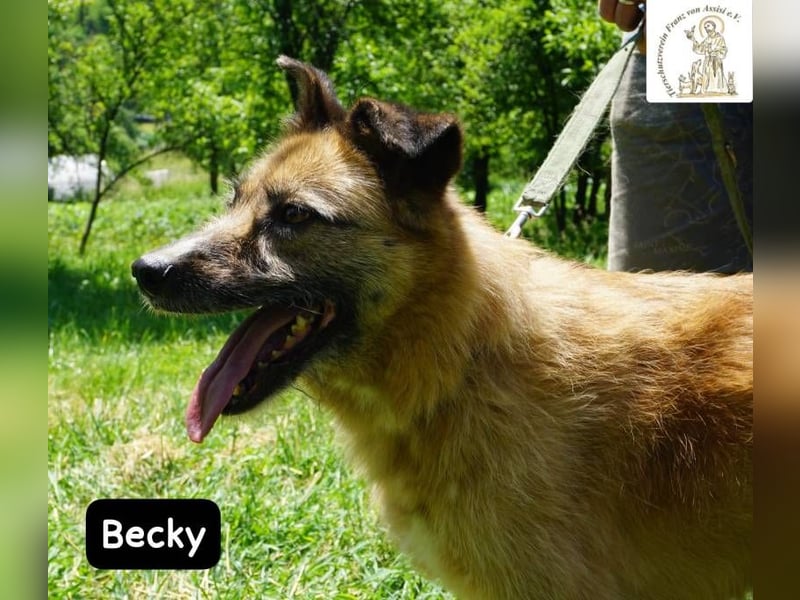 Becky – Eine Lady zum Verlieben, so schön wie das Leben selbst!