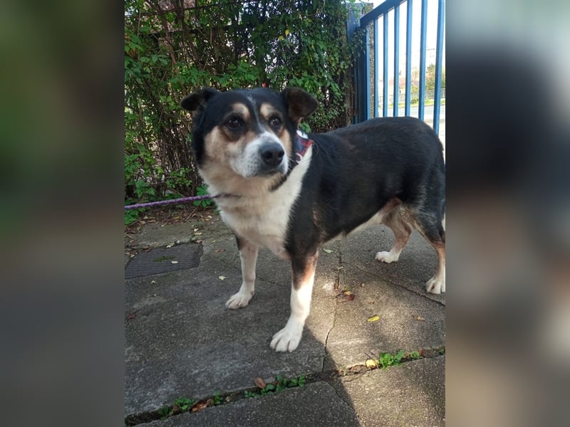 Waisenkinder Bobi und Mrki