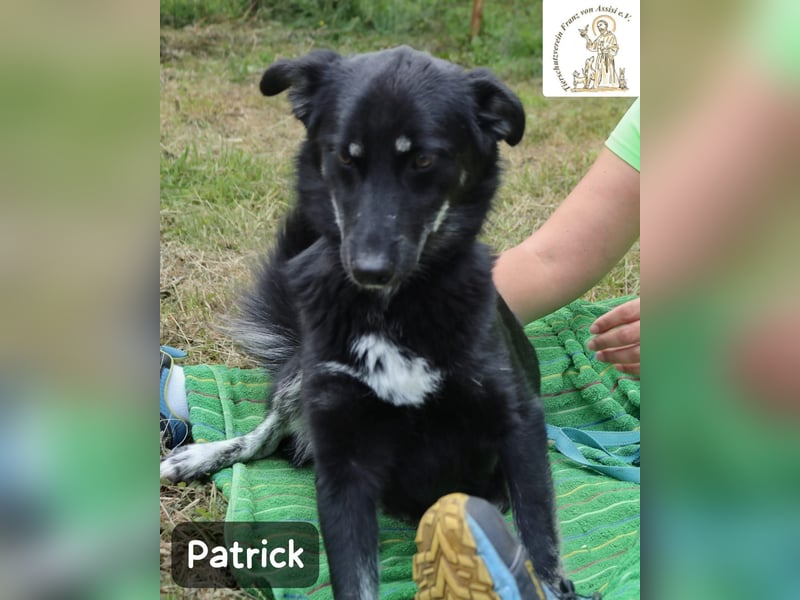 Patrick – Mut, ein bisschen Neugier und schon kann das Abenteuer beginnen!