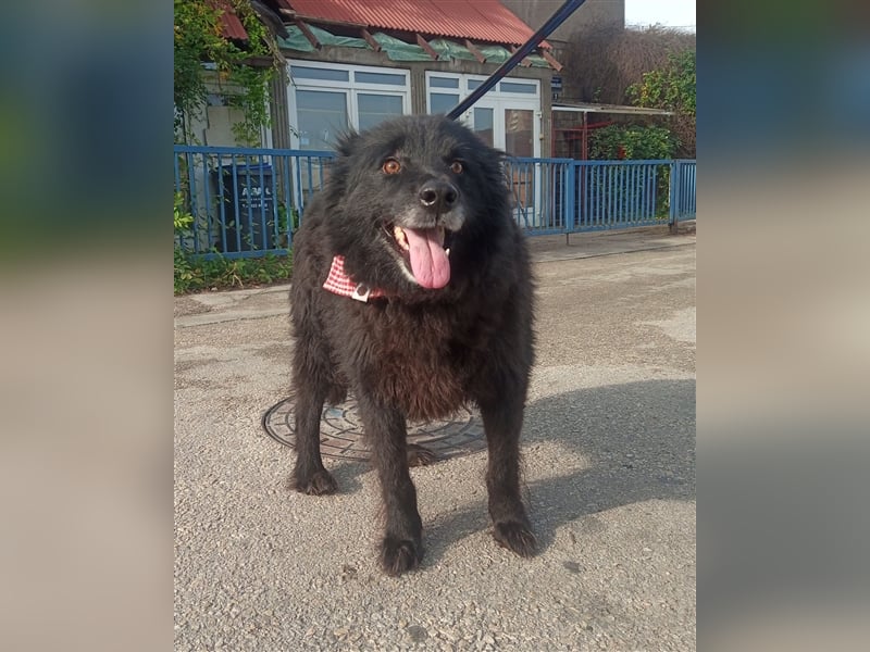 Waisenkinder Bobi und Mrki