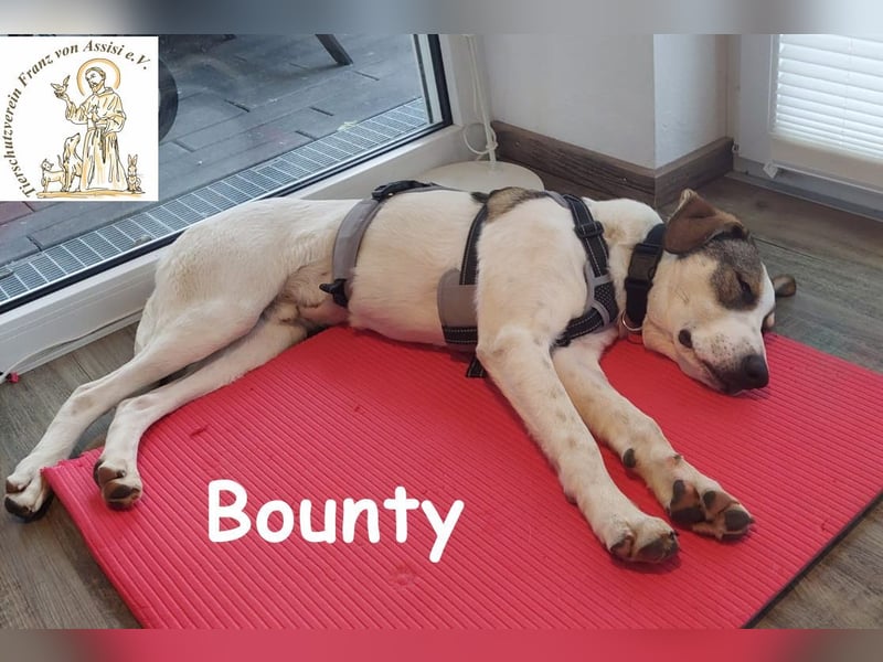 Bounty wird mutig und entdeckt die Welt