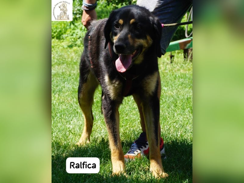 Ralfica – Nicht perfekt. Nicht außergewöhnlich. Aber genau RICHTIG!