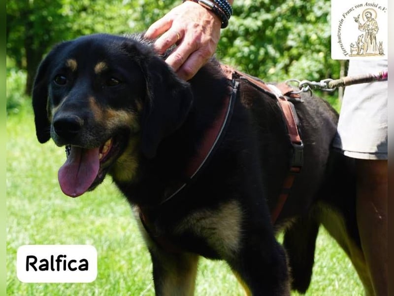 Ralfica – Nicht perfekt. Nicht außergewöhnlich. Aber genau RICHTIG!