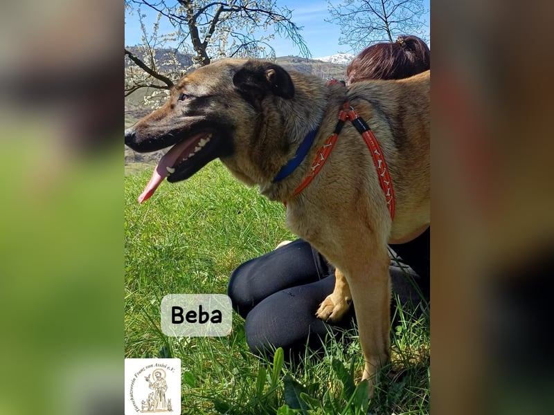 Beba – für Menschen, die das Echte suchen!