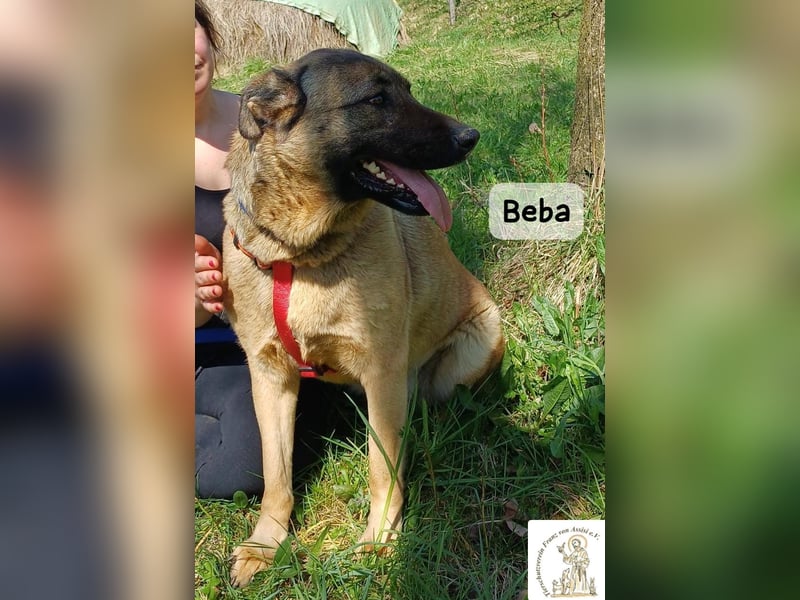 Beba – für Menschen, die das Echte suchen!