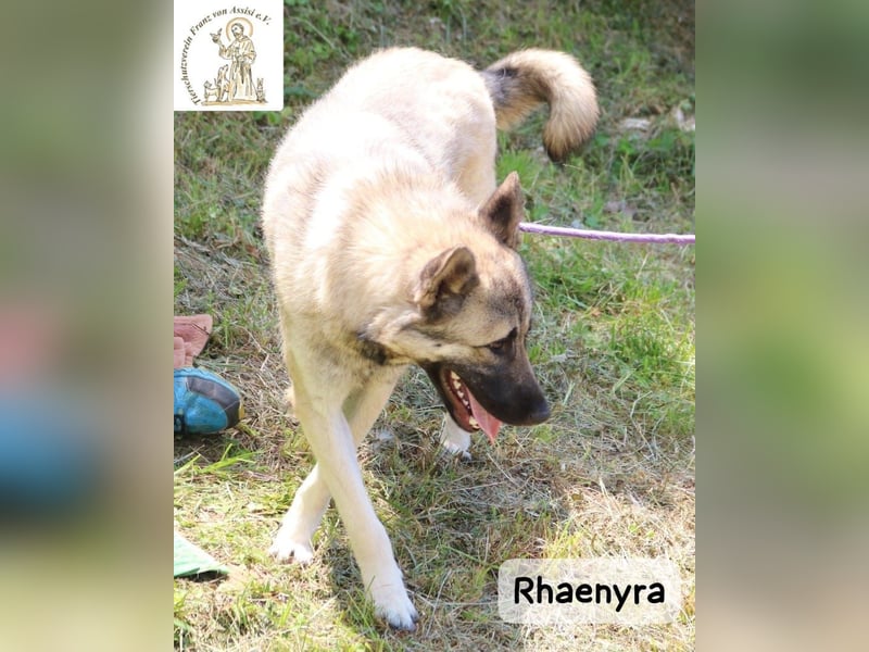 Rhaenyra – auffallen kann sie, bleiben möchte sie!