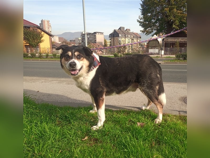 Waisenkinder Bobi und Mrki