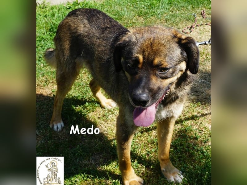 Medo – Spiel, Spaß, Spannung – und Lernen darf auch dabei sein!