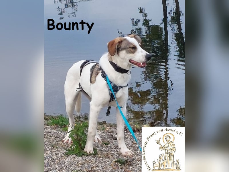 Bounty wird mutig und entdeckt die Welt